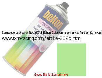 Bild vom Artikel Spraydose Lackspray RAL 6018 Belton Gelbgrün