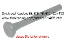 Bild vom Artikel Drucknagel pass. f. Kupplung ES, ETS, TS, ETZ 125/150