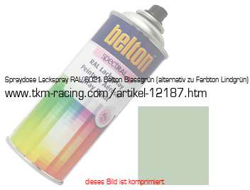 Bild vom Artikel Spraydose Lackspray RAL 6021 Belton Blassgrün (alternativ zu Farbton Lindgrün)