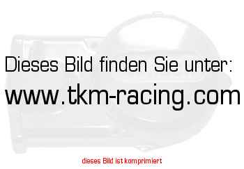 https://www.tkm-racing.com/pictures/004330.jpg