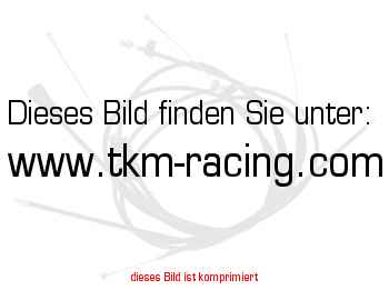 https://www.tkm-racing.com/pictures/010467.jpg
