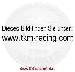https://www.tkm-racing.com/pictures/012342.jpg